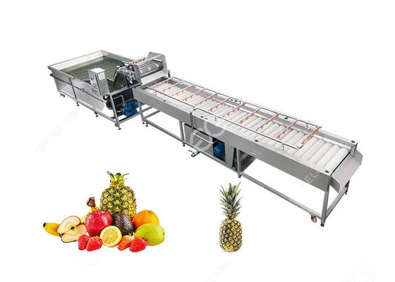 China Large Output Pineapple Cleaning Machine Fruit Processing Equipment2T/H supplier