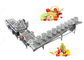 Automatic Fruit And Vegetable Washer Fruit And Vegetable Washing Processing Equipment supplier